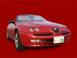 alfa spider